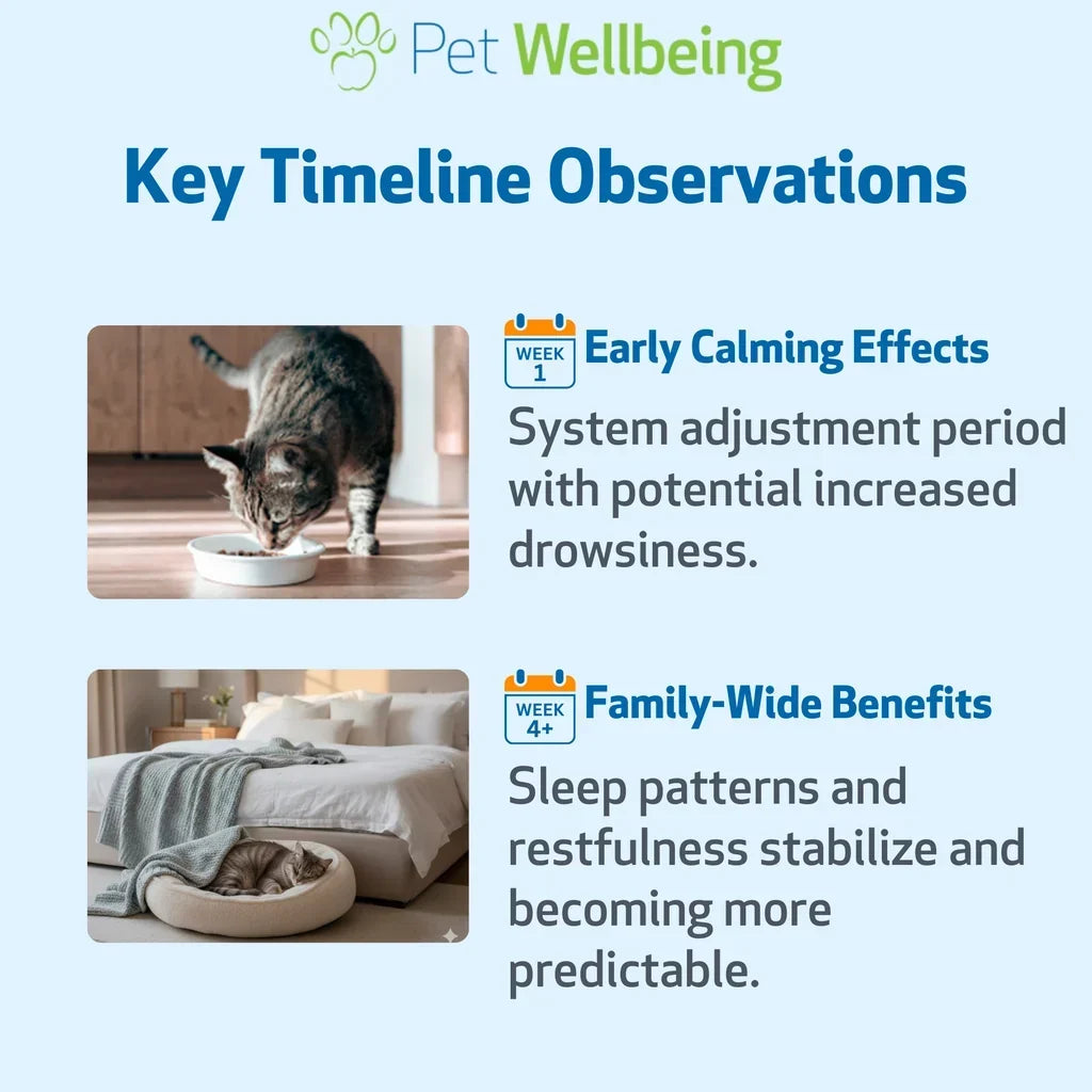 Pet Melatonin for Cats (2 oz)