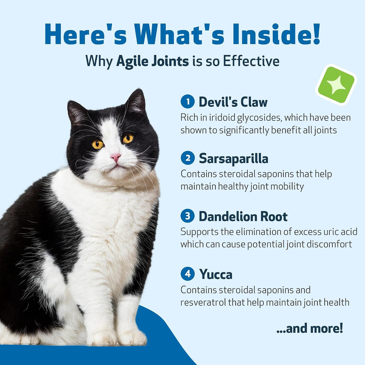 Pet Wellbeing- Agile Joints for Cat Joint Mobility