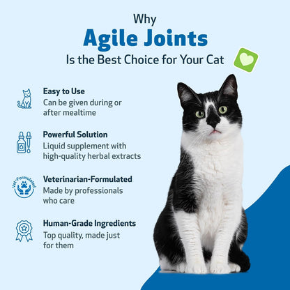 Pet Wellbeing- Agile Joints for Cat Joint Mobility
