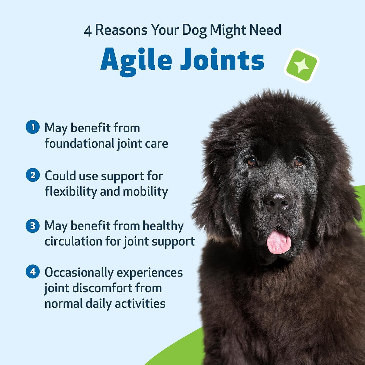 Pet Wellbeing- Agile Joints for Dog Joint Mobility