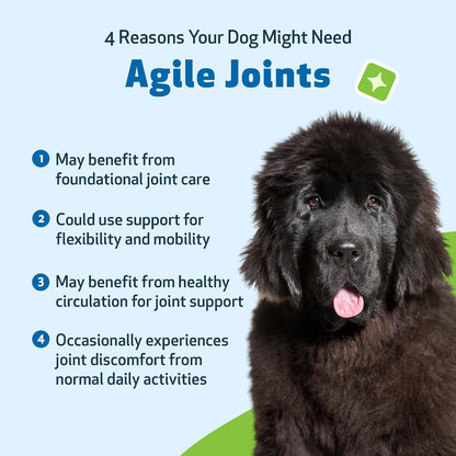 Pet Wellbeing- Agile Joints for Dog Joint Mobility
