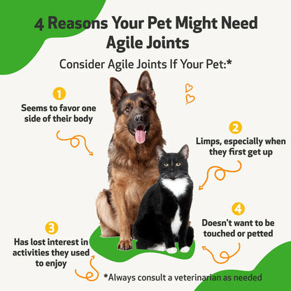 Pet Wellbeing- Agile Joints for Dog Joint Mobility