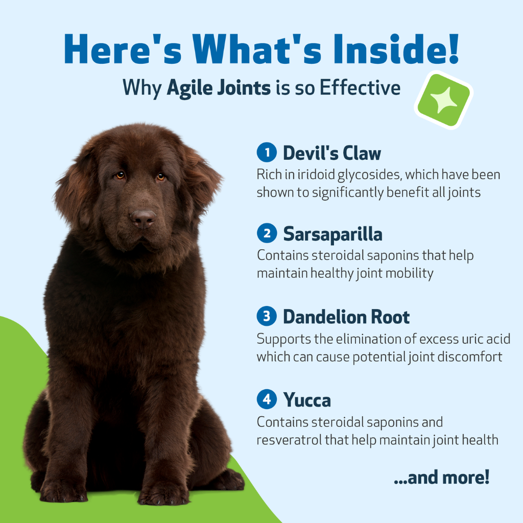 Pet Wellbeing- Agile Joints for Dog Joint Mobility