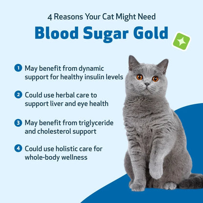 Pet Wellbeing Blood Sugar Gold for Cat Blood Sugar Support