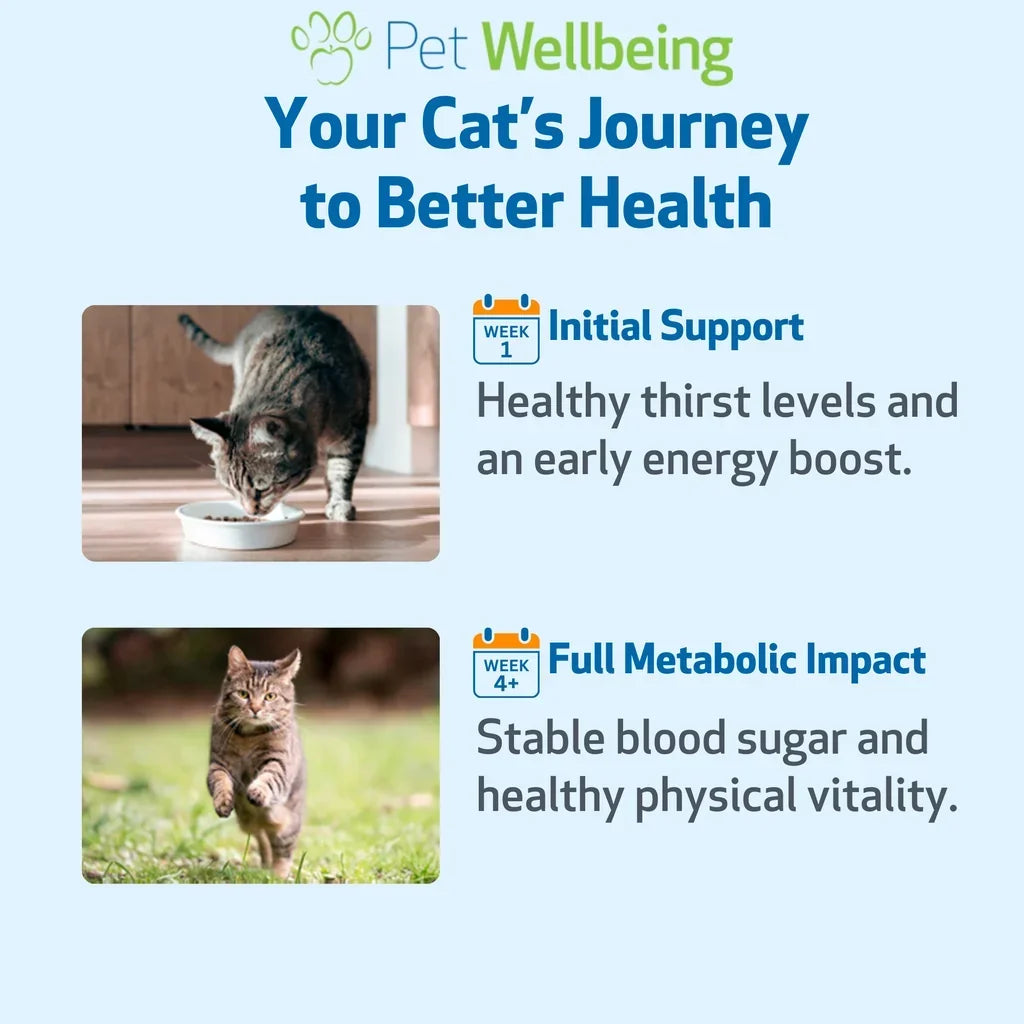 Pet Wellbeing Blood Sugar Gold for Cat Blood Sugar Support