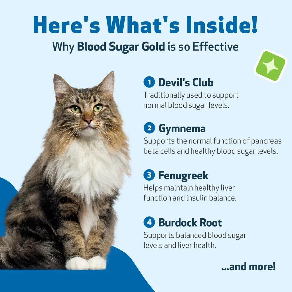 Pet Wellbeing Blood Sugar Gold for Cat Blood Sugar Support