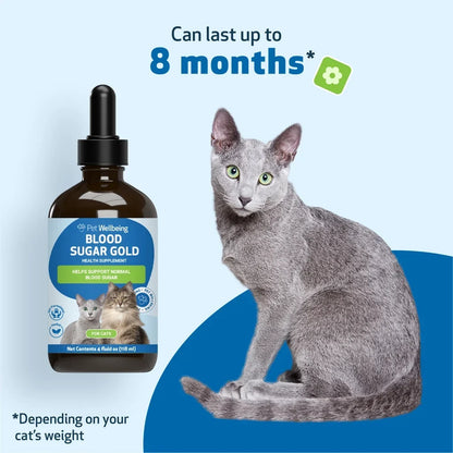 Pet Wellbeing Blood Sugar Gold for Cat Blood Sugar Support