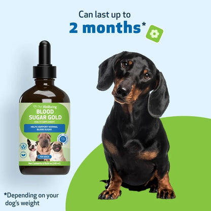 Pet Wellbeing- Blood Sugar Gold for Dog Blood Sugar