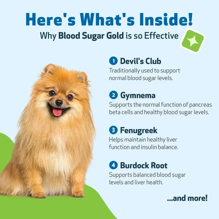 Pet Wellbeing- Blood Sugar Gold for Dog Blood Sugar