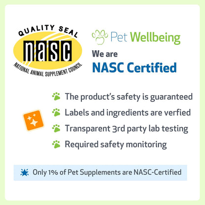 Pet Wellbeing Itch Support Gold - For Allergy-Related Itch in Dogs
