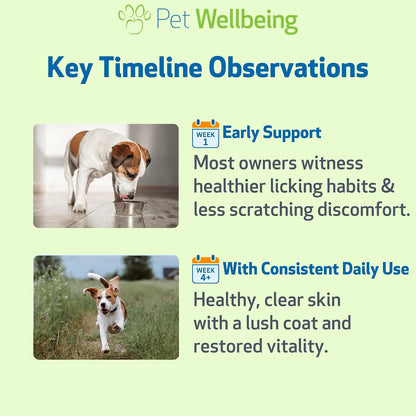 Pet Wellbeing Itch Support Gold - For Allergy-Related Itch in Dogs