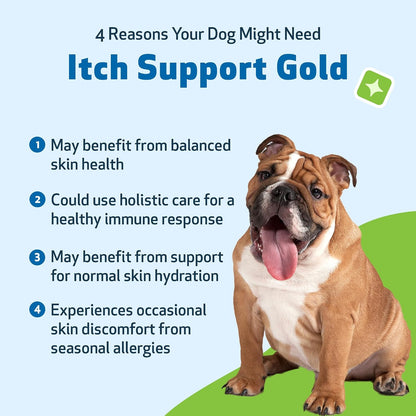 Pet Wellbeing Itch Support Gold - For Allergy-Related Itch in Dogs