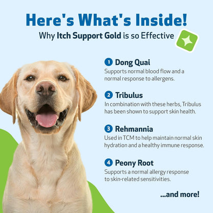Pet Wellbeing Itch Support Gold - For Allergy-Related Itch in Dogs