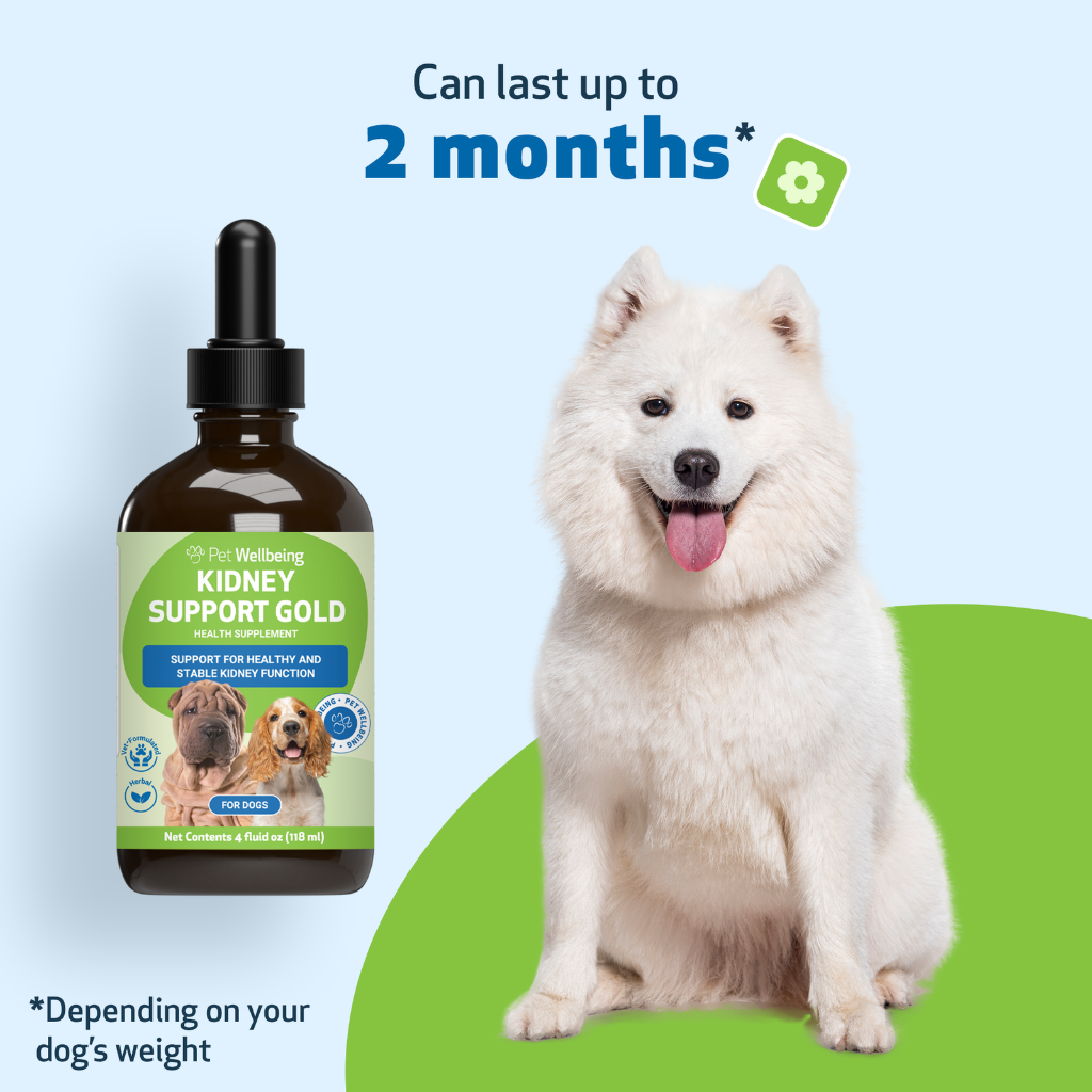 Pet Wellbeing Kidney Support Gold for Dogs