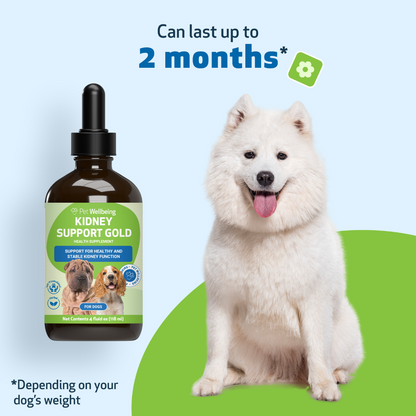 Pet Wellbeing Kidney Support Gold for Dogs
