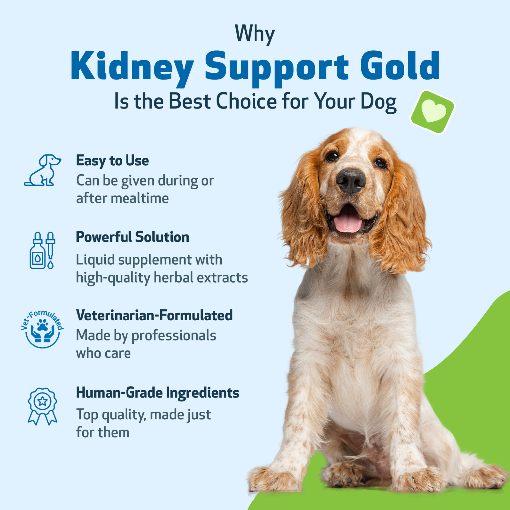 Pet Wellbeing Kidney Support Gold for Dogs