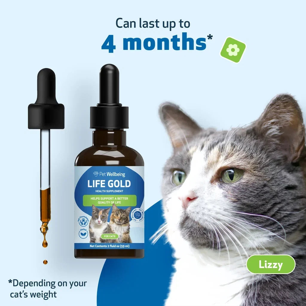 Pet Wellbeing Life Gold for Cats