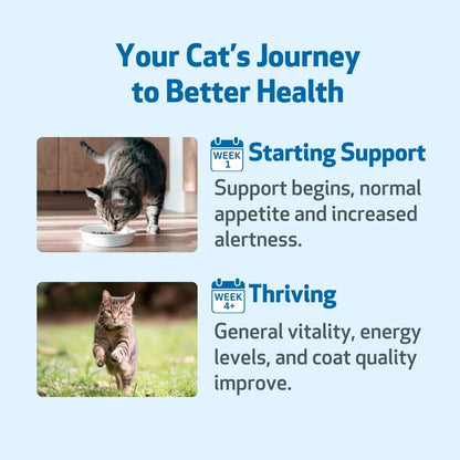 Pet Wellbeing Life Gold for Cats