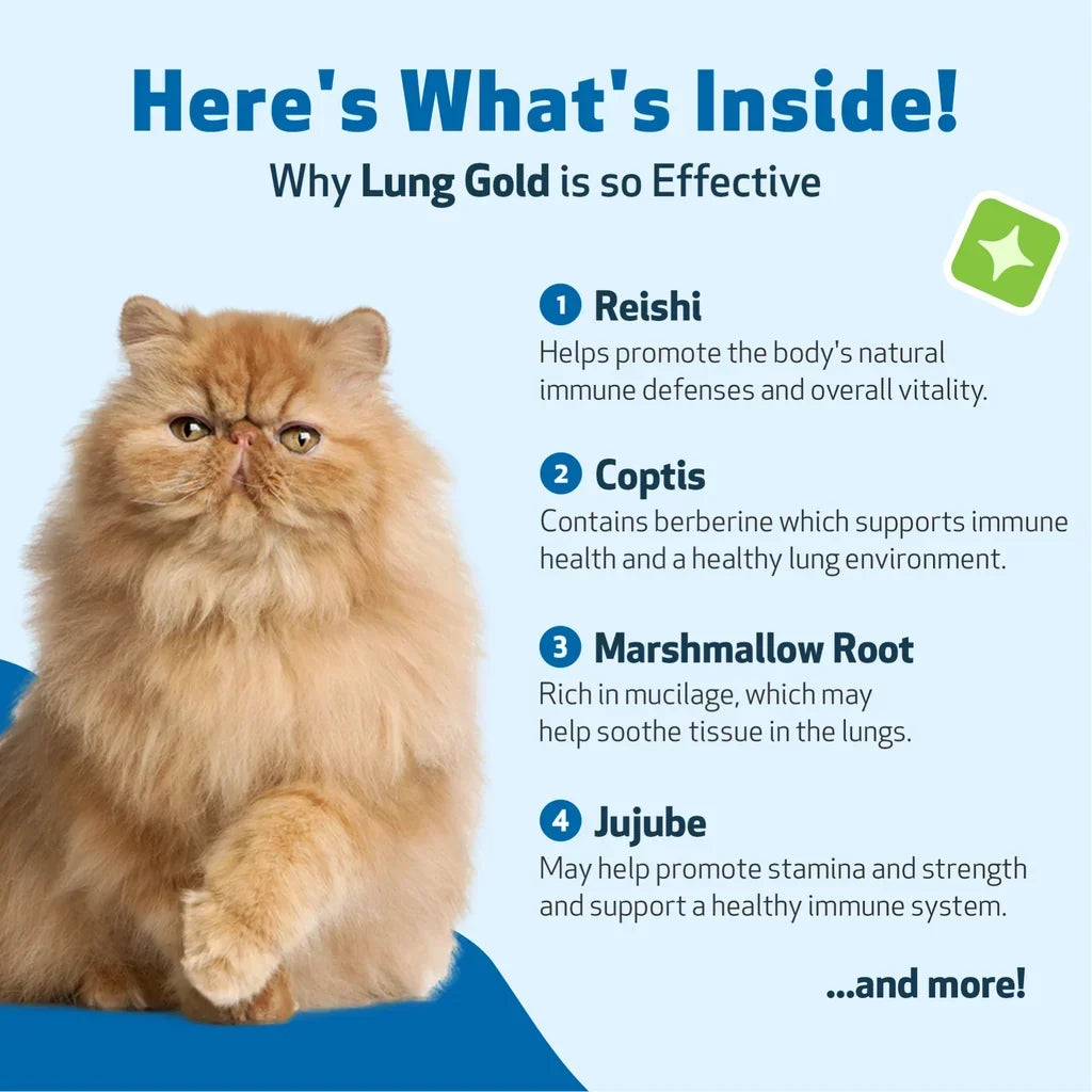 Pet Wellbeing Lung Gold for Cats