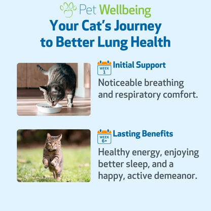 Pet Wellbeing Lung Gold for Cats