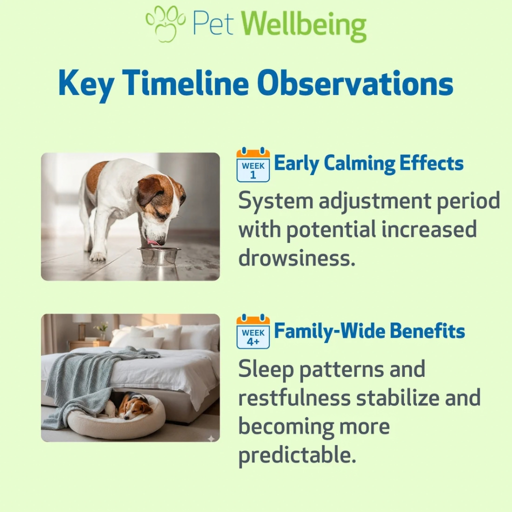 Pet Wellbeing Pet Melatonin for Dogs