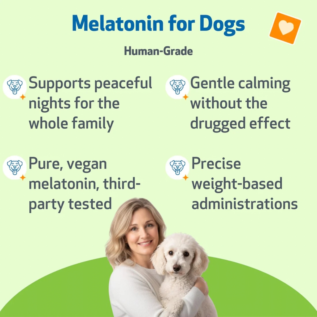 Pet Wellbeing Pet Melatonin for Dogs