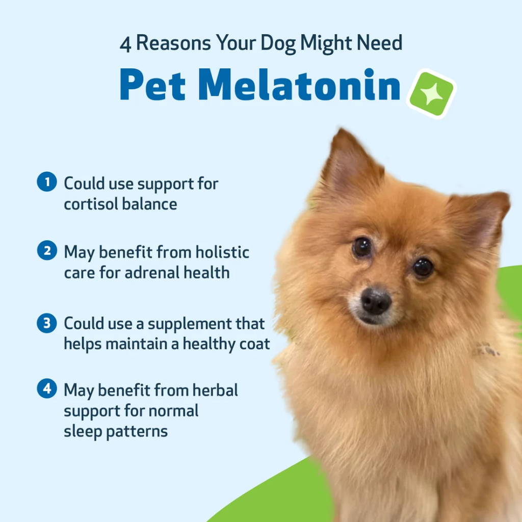 Pet Wellbeing Pet Melatonin for Dogs