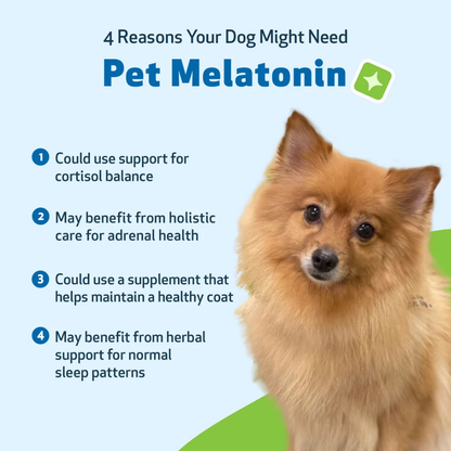 Pet Wellbeing Pet Melatonin for Dogs