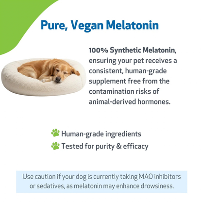 Pet Wellbeing Pet Melatonin for Dogs