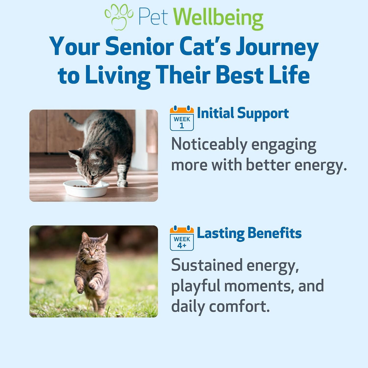 Pet Wellbeing Old Friend for Senior Cats