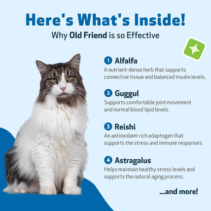 Pet Wellbeing Old Friend for Senior Cats