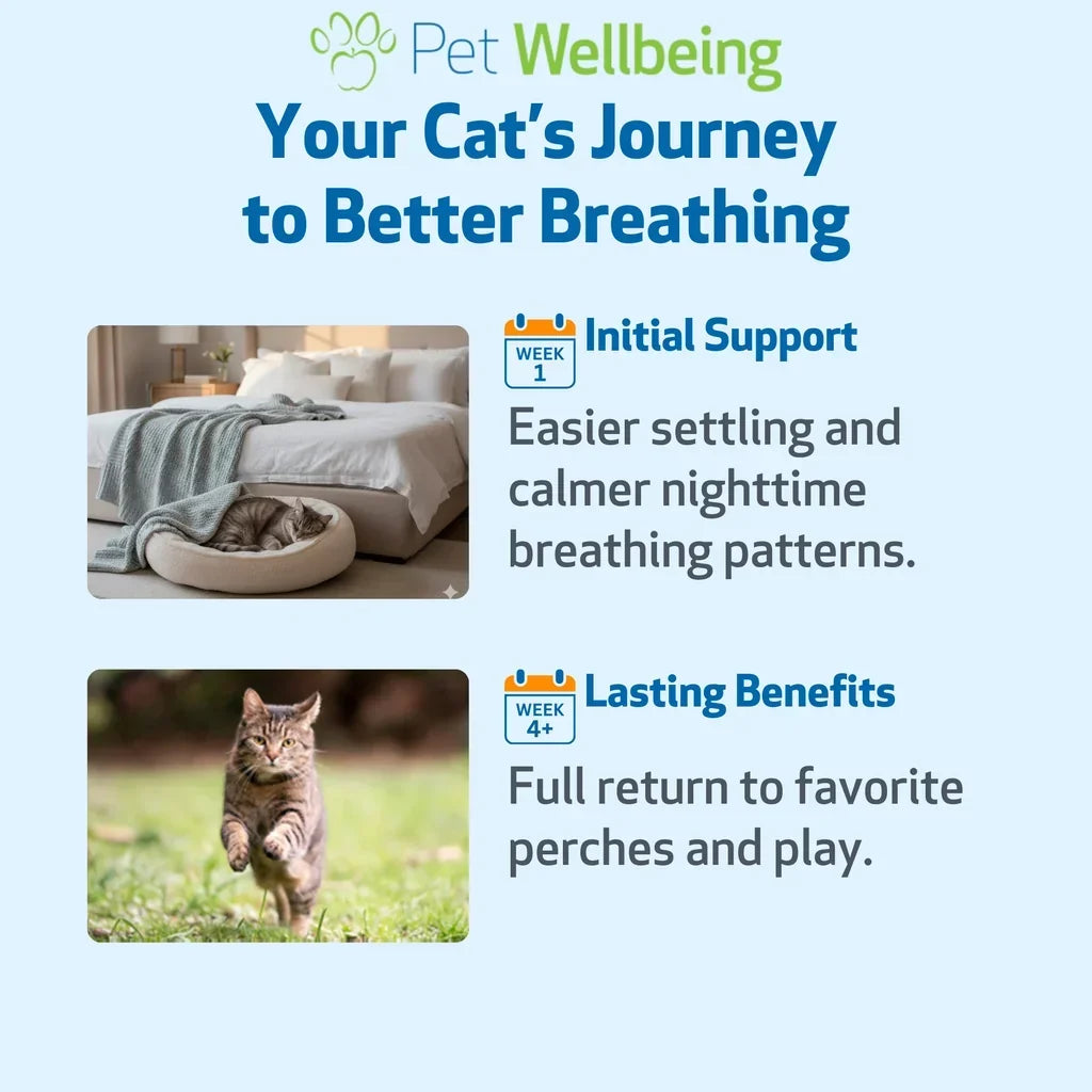 Pet Wellbeing Respir-Gold for Easy Breathing in Cats, 2-oz