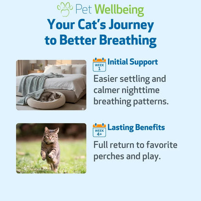 Pet Wellbeing Respir-Gold for Easy Breathing in Cats, 2-oz