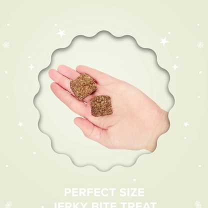 Plato Pet Treats Santa's Cookies Lamb & Goat Milk Jerky Dog Treats, 4-oz