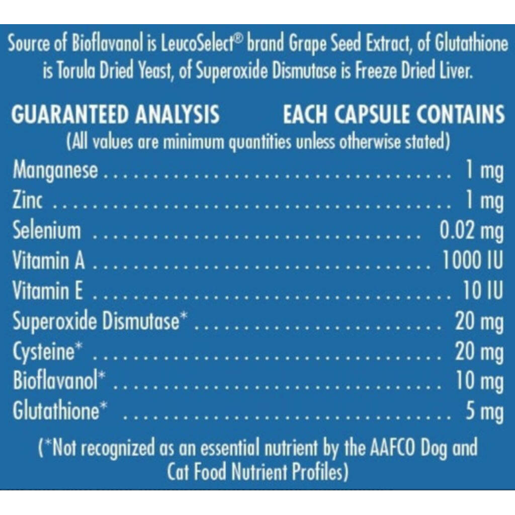 Proanthozone 20 Nutrient & Antioxidant Supplement for Medium Dogs 60 capsules