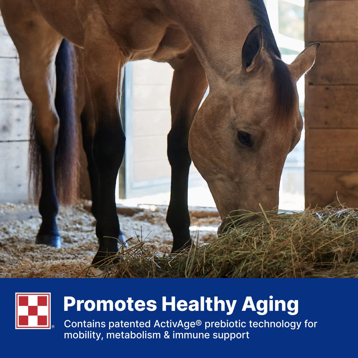 Purina Equine Senior Active Horse Feed, 50-lb
