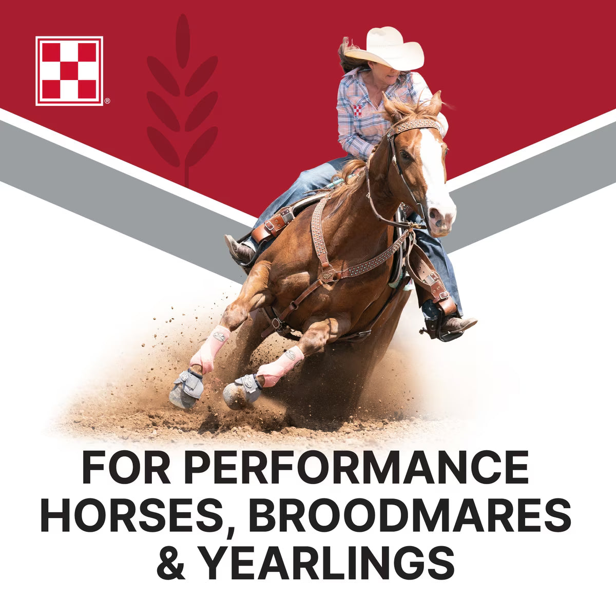 Purina Omolene 200 Performance Horse Feed, 50-lb