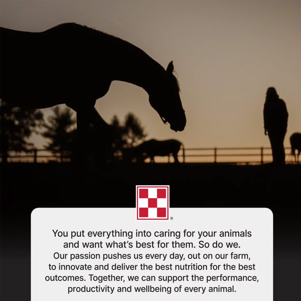 Purina Strategy Healthy Edge Horse Feed, 50-lb