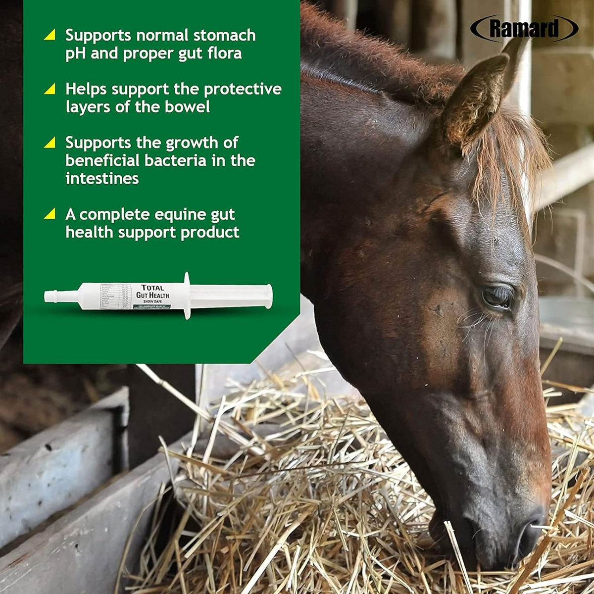 Ramard Total Gut Health Supplement Paste For Horse (30 cc)