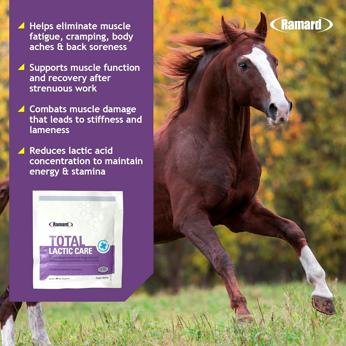 Ramard Total Lactic Care Horse Supplement (25g)