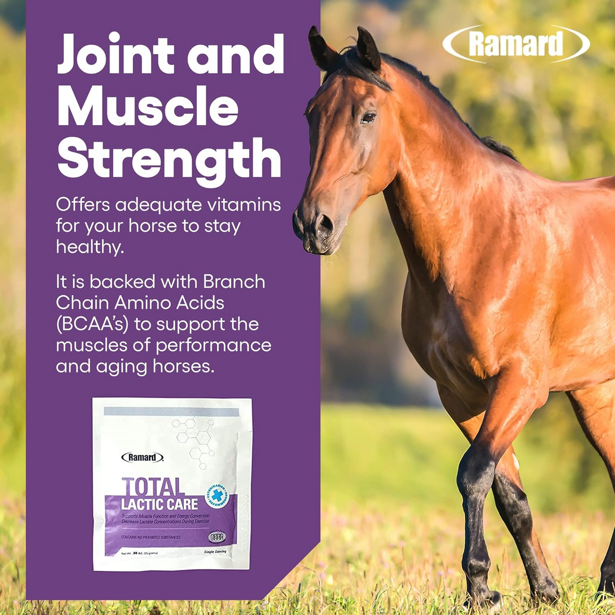Ramard Total Lactic Care Horse Supplement (25g)