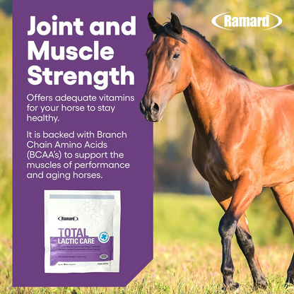 Ramard Total Lactic Care Horse Supplement (25g)