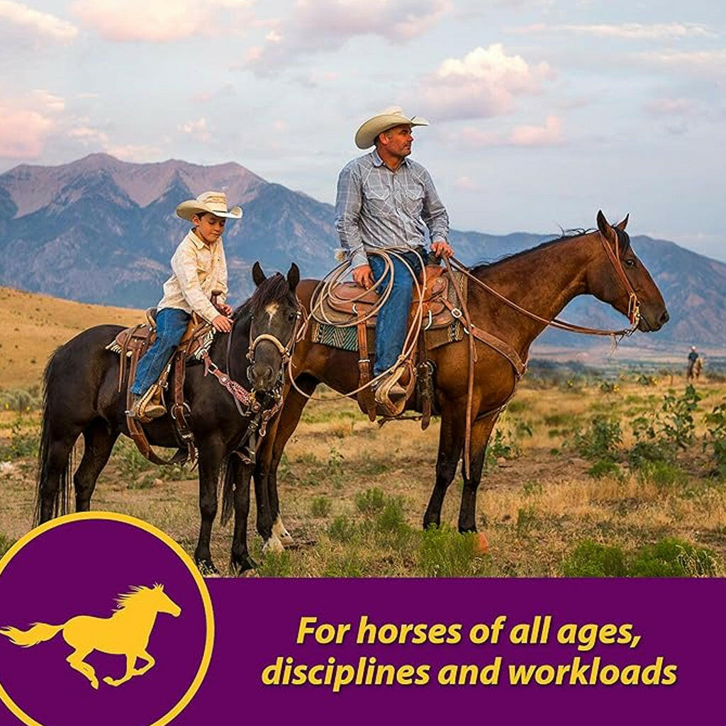 Red Cell Vitamin-Iron-Mineral Supplement for Horses (Gallon)