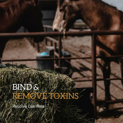 Redmond Daily Gold Natural Stress Relief for Horses