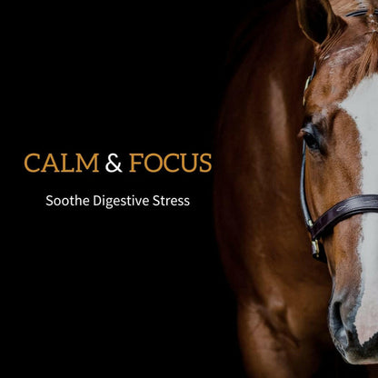 Redmond Daily Gold Natural Stress Relief for Horses