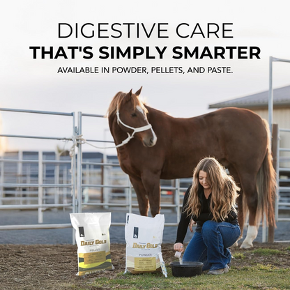 Redmond Daily Gold Stress Relief Natural Healing Clay for Gastric Ulcers for Horses