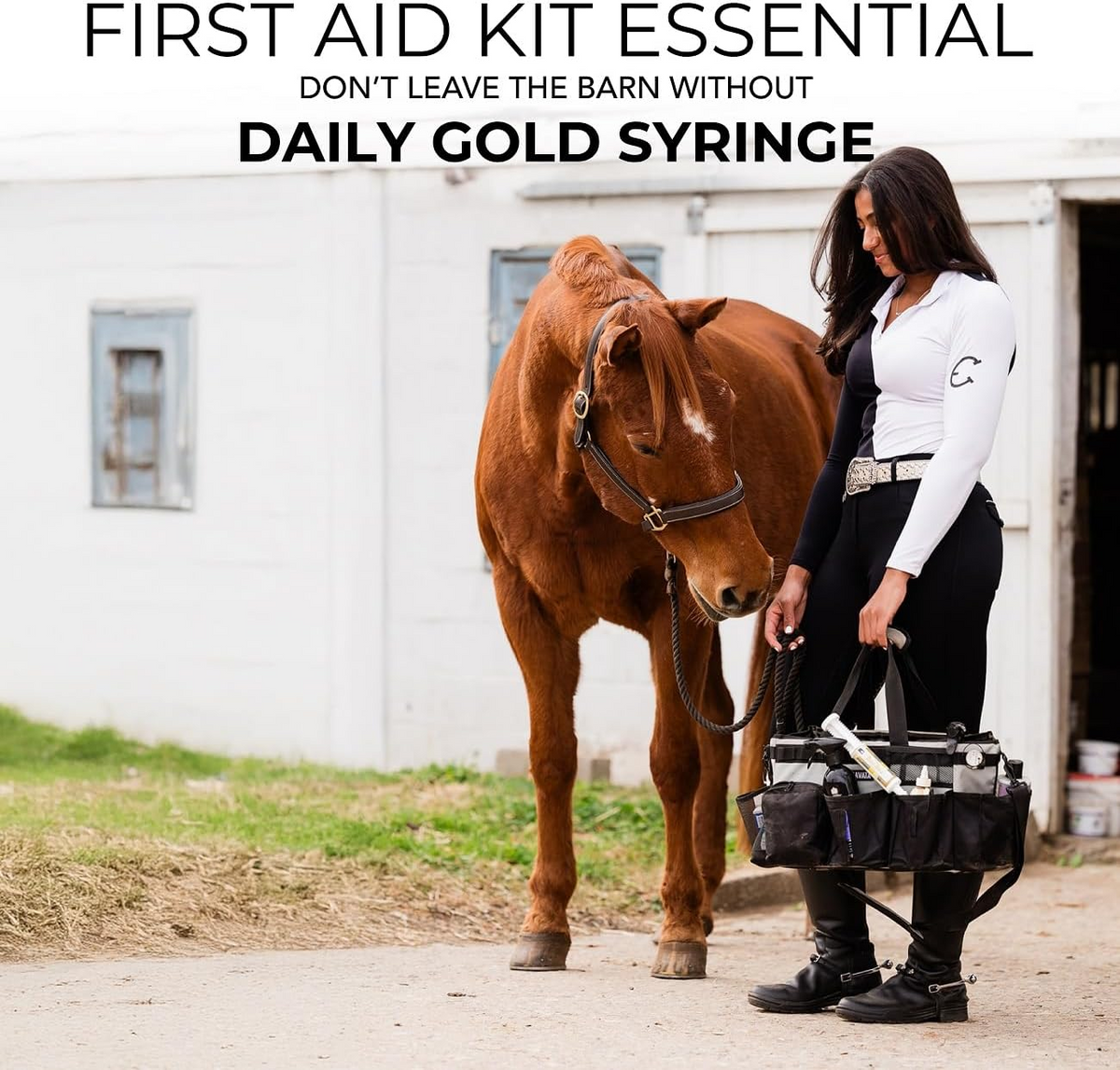 Redmond Daily Gold Stress Relief Natural Healing Clay for Gastric Ulcers for Horses