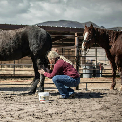 Redmond Simply Clay Natural Topical Solution Poultice For Horse (9.5 lb)