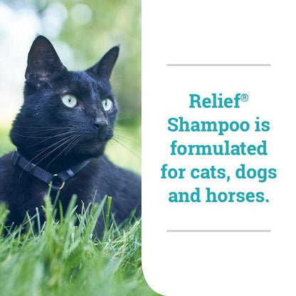 Relief Shampoo