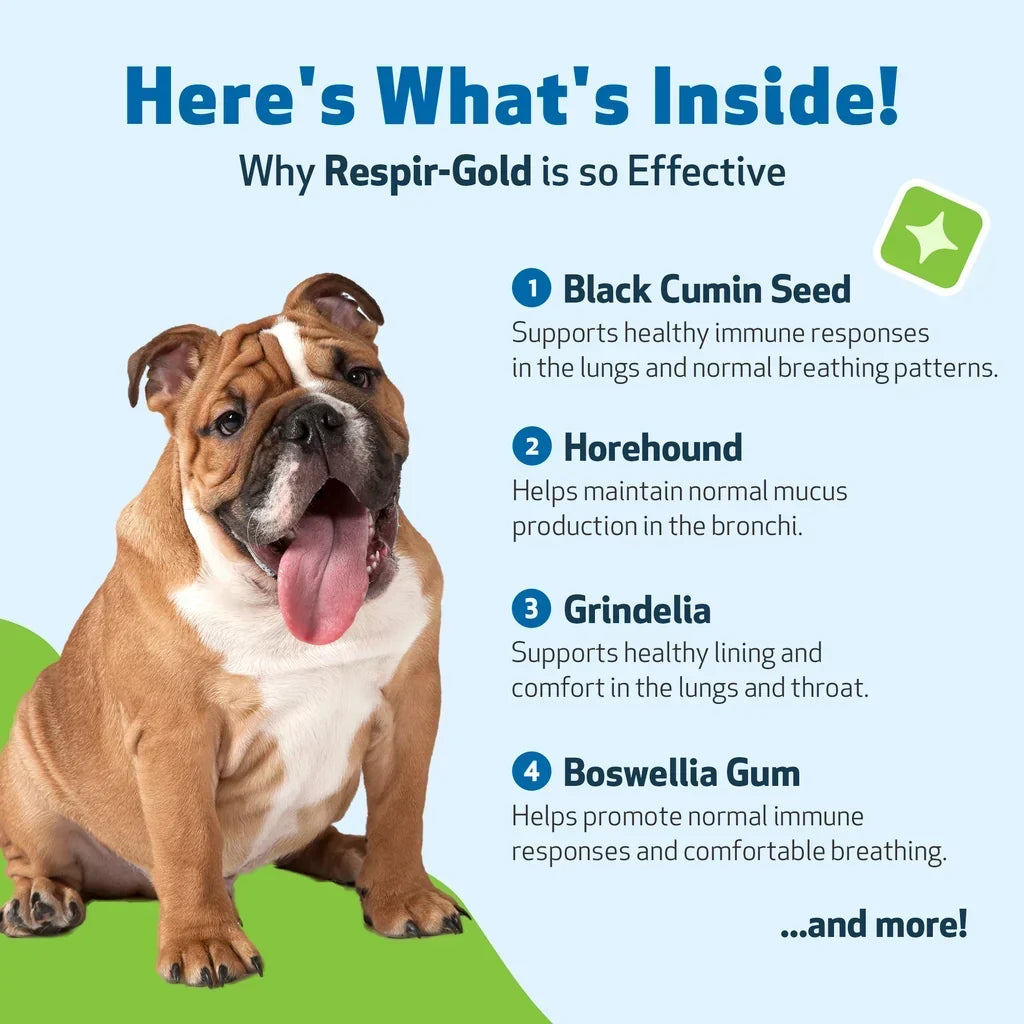 Respir-Gold - For Easy Breathing in Dogs